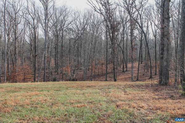 Scottsville, VA 24590,TBD BLENHEIM RD