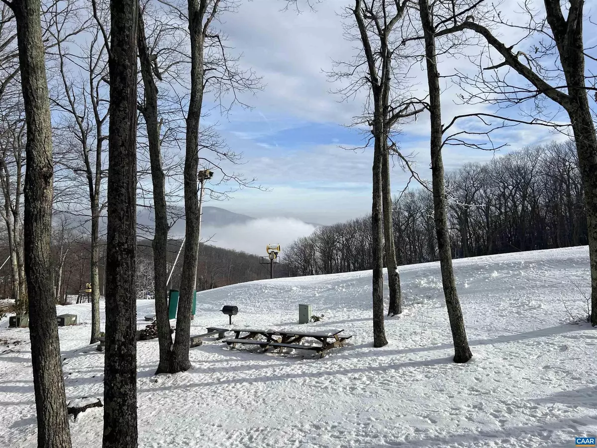 Wintergreen Resort, VA 22967,120 EAGLES CT CONDOS