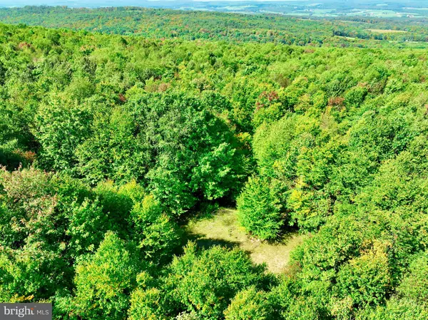 LOT 12 WINDSWEPT LN, Grantsville, MD 21536