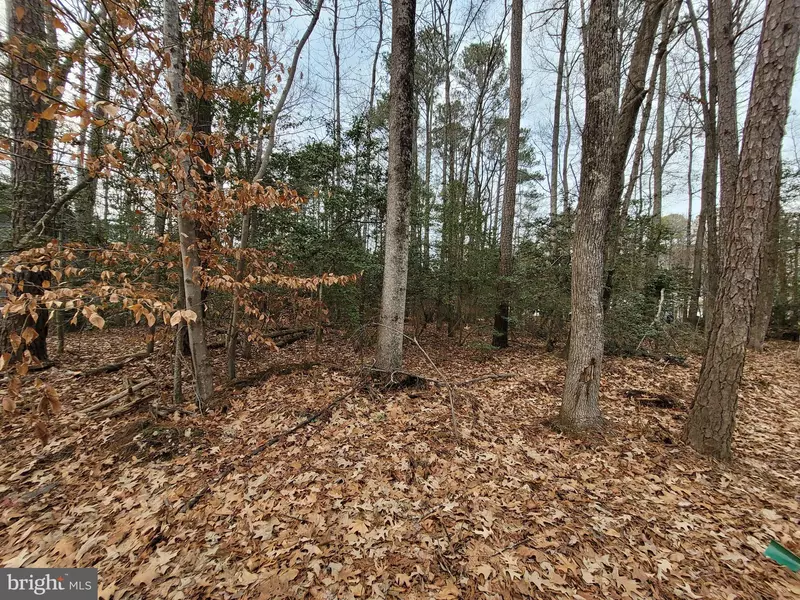 LOT 23 SHOREWOOD DRIVE, Colonial Beach, VA 22443