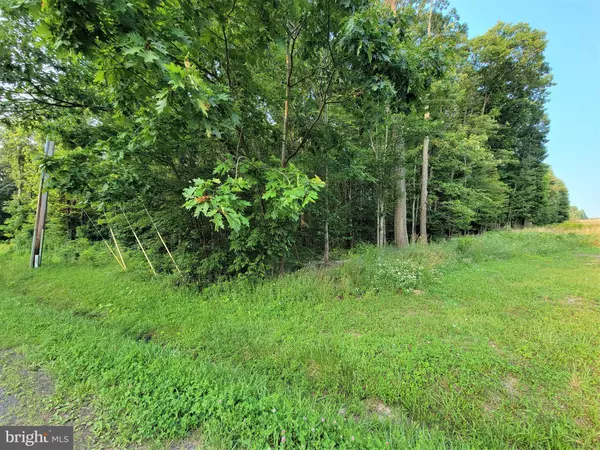 Grantsville, MD 21536,PARCEL 64 NEW GERMANY RD