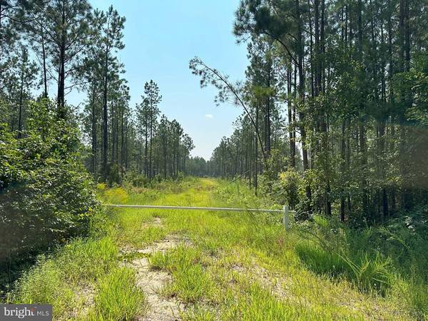 PLANK ROAD (RT 35), Courtland, VA 23837