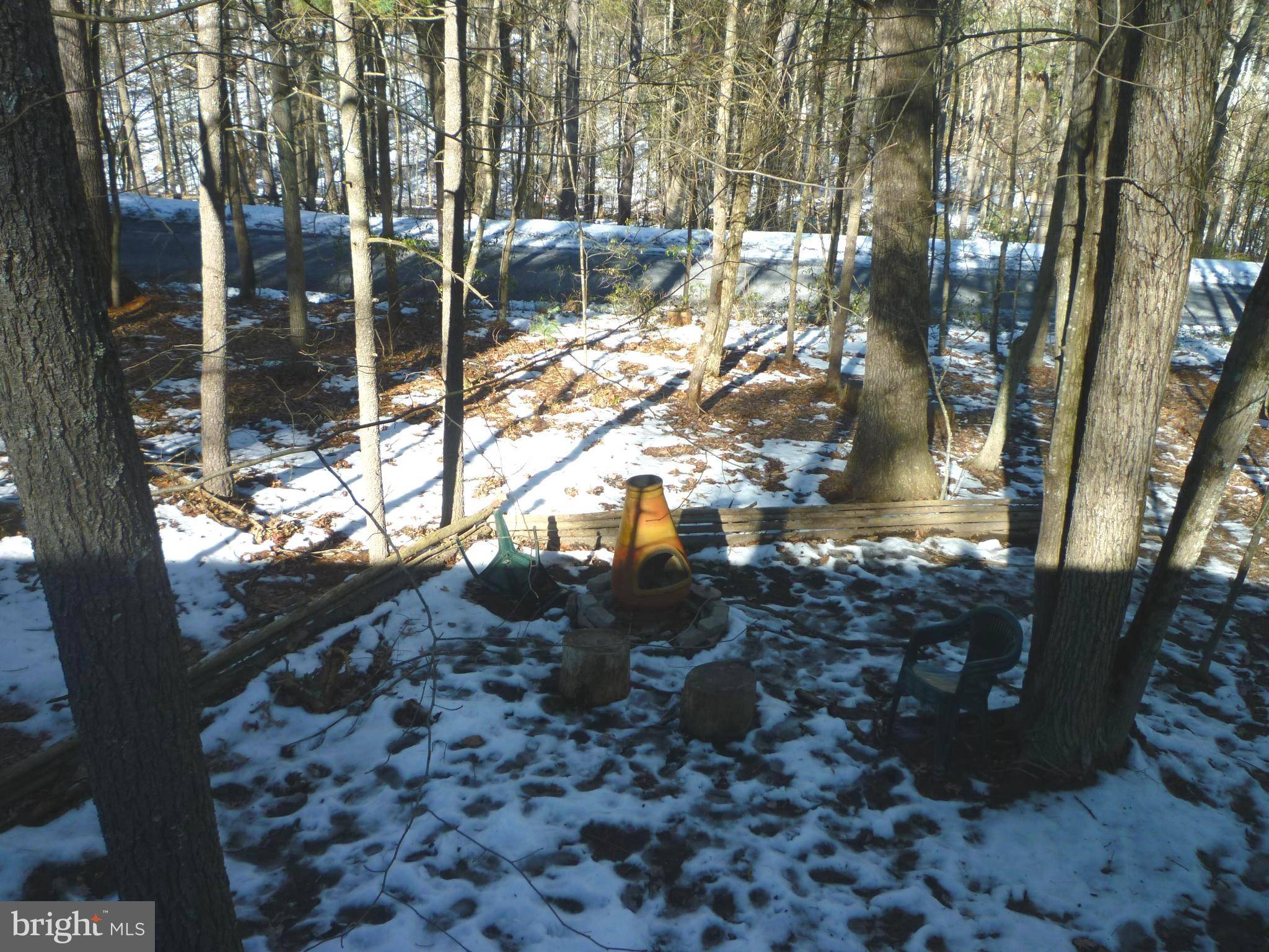 Basye, VA 22810,567 BASSWOOD LN