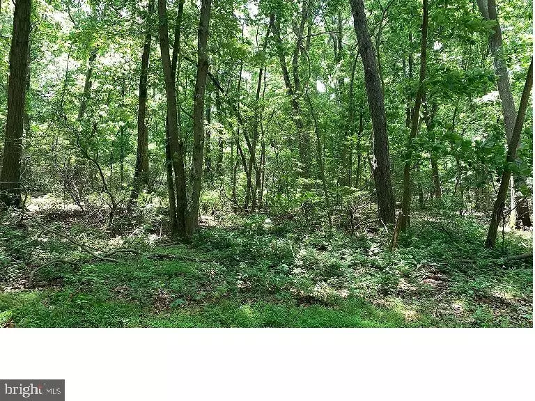 LOT #00022 CENTRAL AVE, Pittsgrove, NJ 08318