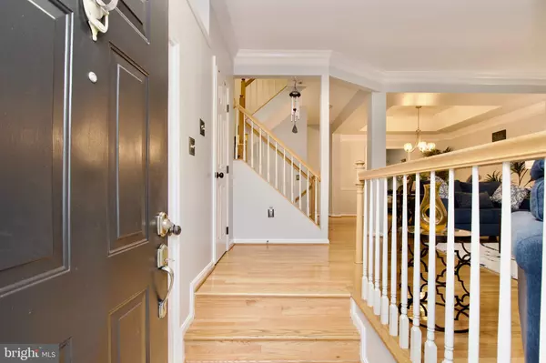 Springfield, VA 22152,8016 READINGTON CT