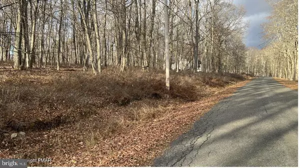 Bushkill, PA 18324,LOT 288 DOE LOOP