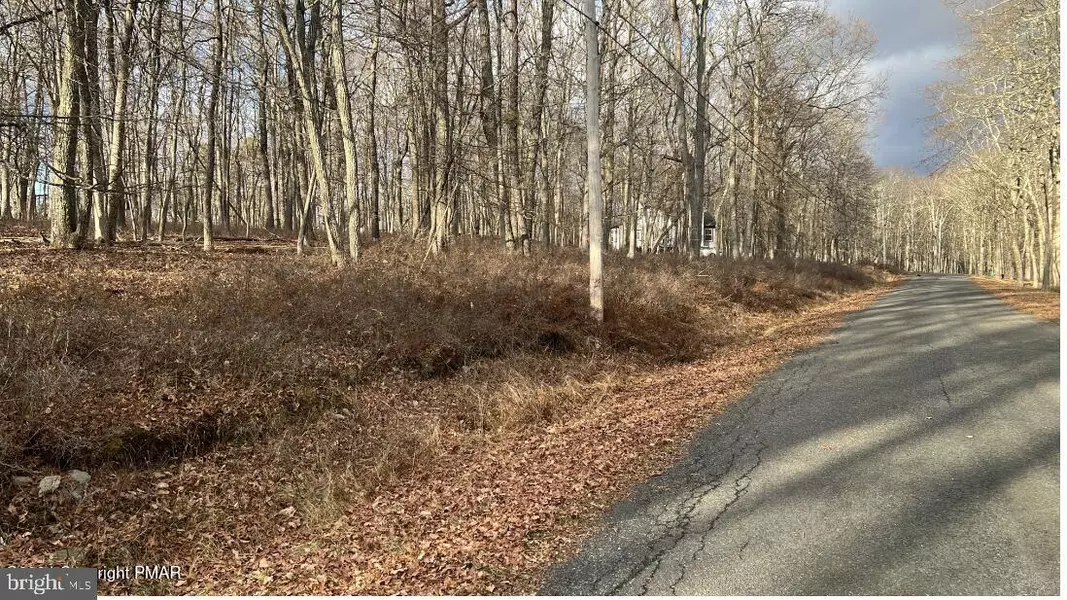 LOT 288 DOE LOOP, Bushkill, PA 18324