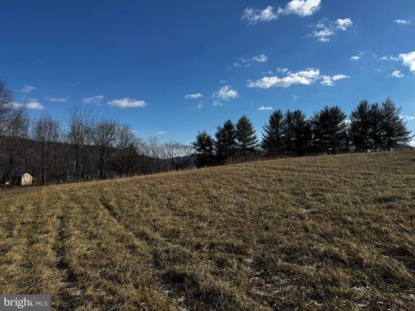 Sperryville, VA 22740,0 WOODWARD ROAD- LOT 3