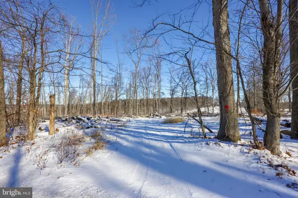 Glen Rock, PA 17327,13727 INGHAM RD #LOT 4