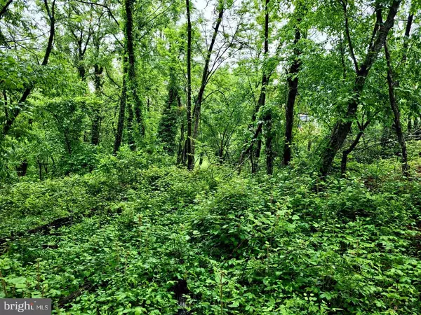 Brooklyn Park, MD 21225,946 HAMMONDS LN