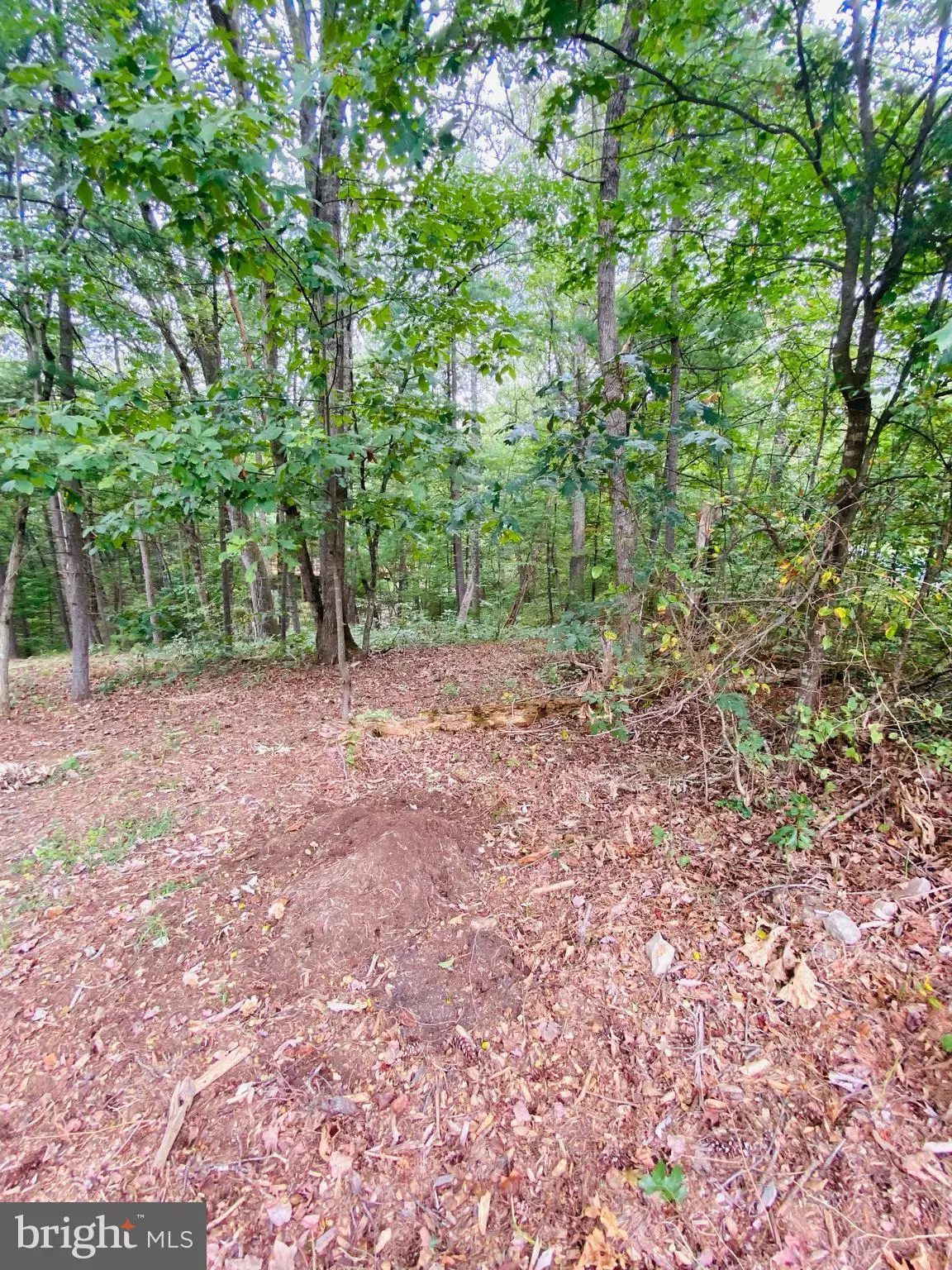 Mount Jackson, VA 22842,LOT 294 COTTONWOOD DRIVE