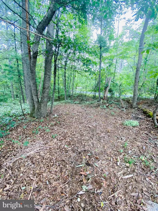 Mount Jackson, VA 22842,LOT 294 COTTONWOOD DRIVE