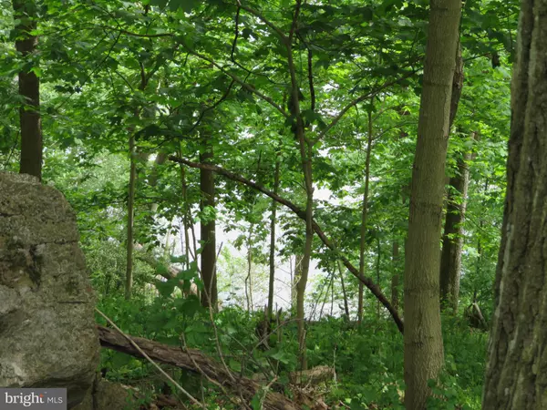 Falling Waters, WV 25419,139-118 BOO BOO BLVD