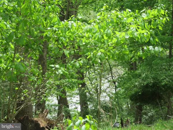 Falling Waters, WV 25419,139-118 BOO BOO BLVD