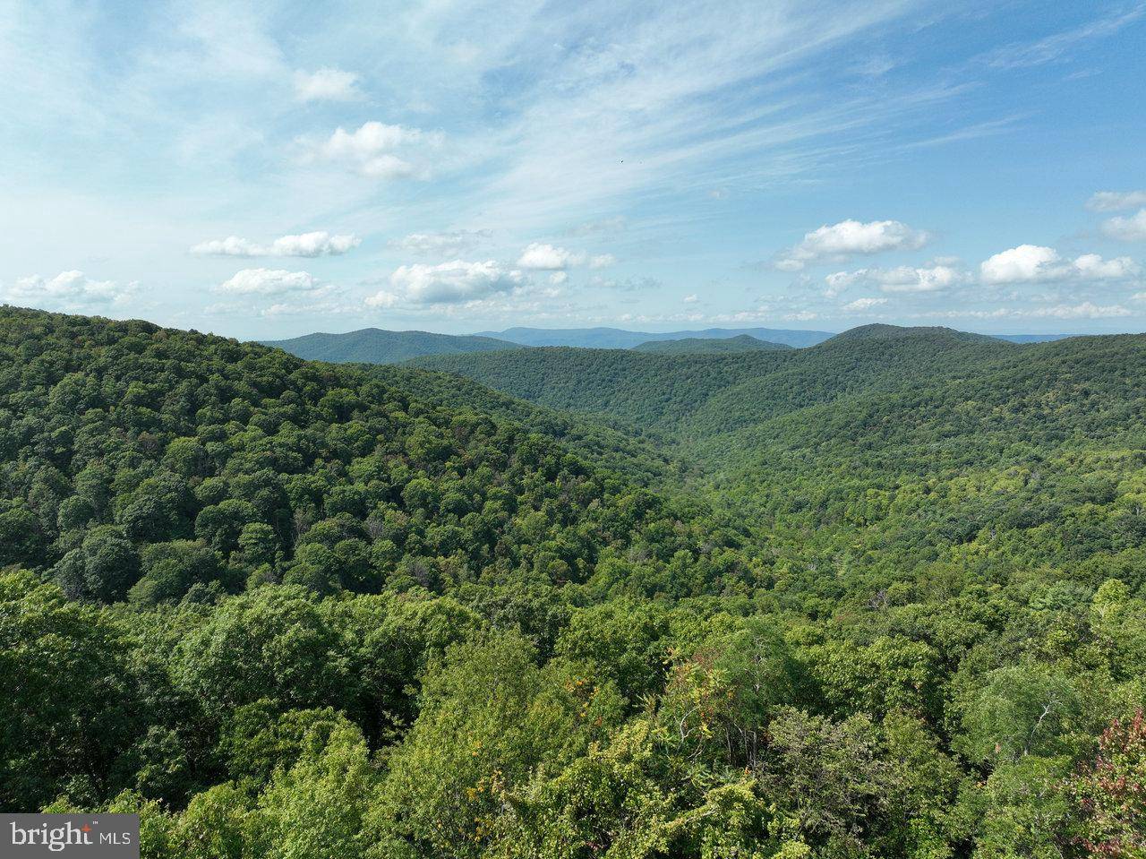 Stanley, VA 22851,LOT 3 PRICE RIDGE RD