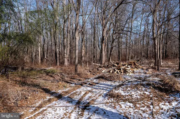 Hopewell, NJ 08525,LOT 39 STONY BROOK RD