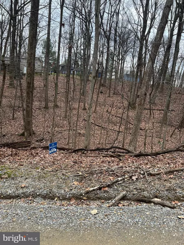 LAUREL LN, Bluemont, VA 20135