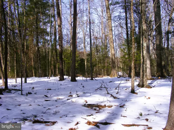 Berkeley Springs, WV 25411,HIGHVIEW LN