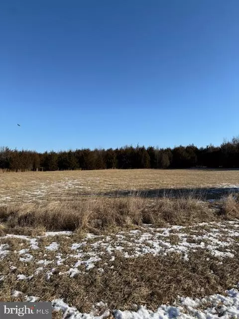 Taneytown, MD 21787,BASEHORES MILL RD