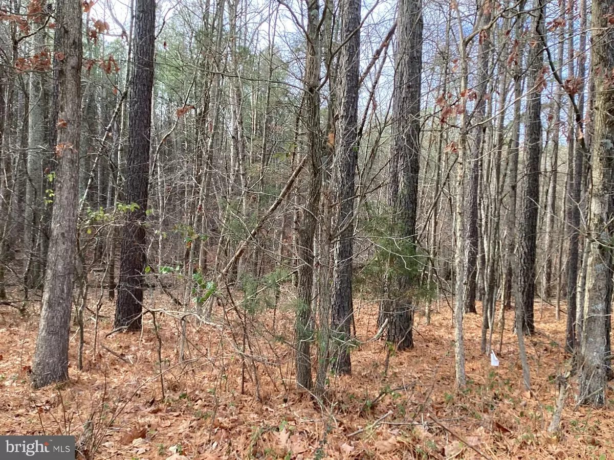 Catlett, VA 20119,SHENANDOAH PATH