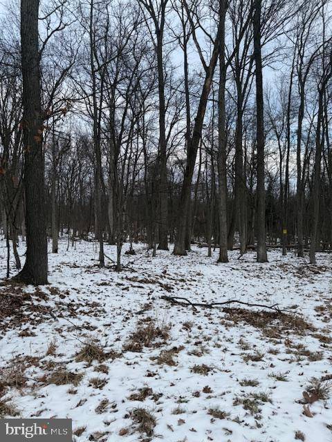 Fairfield, PA 17320,50 RIST TRL