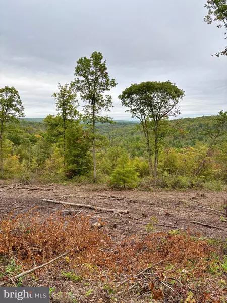 35 & 36 BEECH CREEK MOUNTAIN RD, Beech Creek, PA 16822