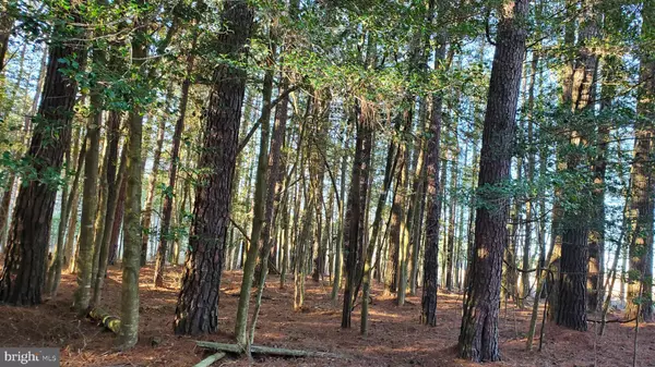 Greenbackville, VA 23356,LOT 838 CASTAWAY
