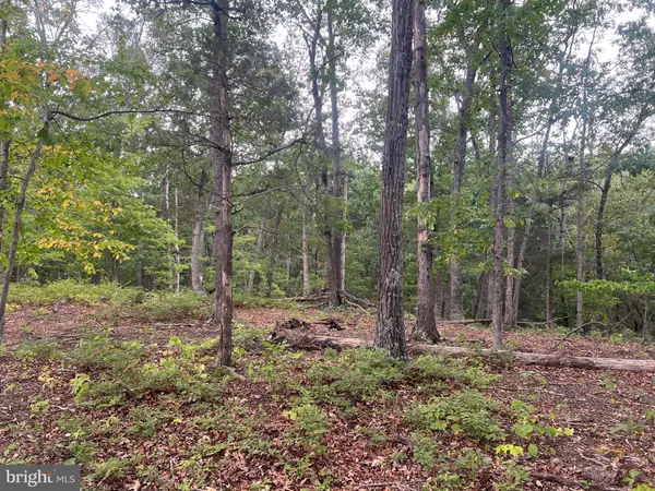 Middletown, VA 22645,LOT 36A RED HAWK RD