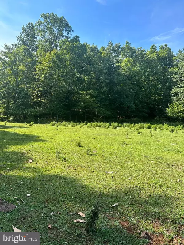 Rixeyville, VA 22737,LOT 113 STONEHOUSE MOUNTAIN RD