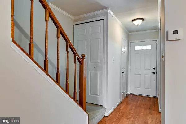 Alexandria, VA 22306,6338 CHIMNEY WOOD CT