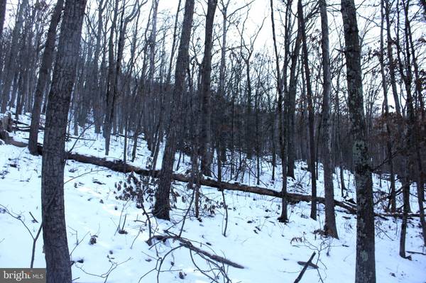 5.50 AC LAKE FERNDALE DR, Springfield, WV 26763