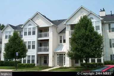 Alexandria, VA 22306,7528 COXTON CT #100