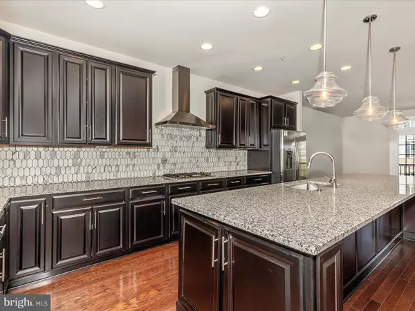 Pikesville, MD 21208,18 WEDGE WAY #14