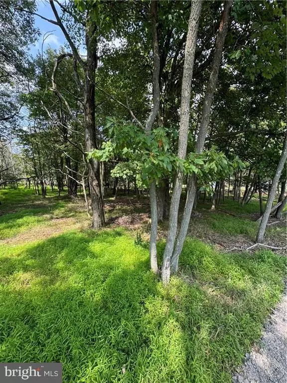 Albrightsville, PA 18210,LAKEVIEW DR #LOT#739