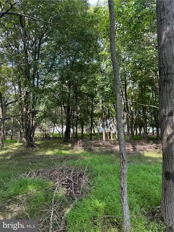 Albrightsville, PA 18210,LAKEVIEW DR #LOT#739