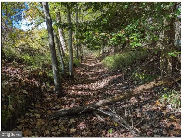 Eden, MD 21822,0 OLD EDEN RD