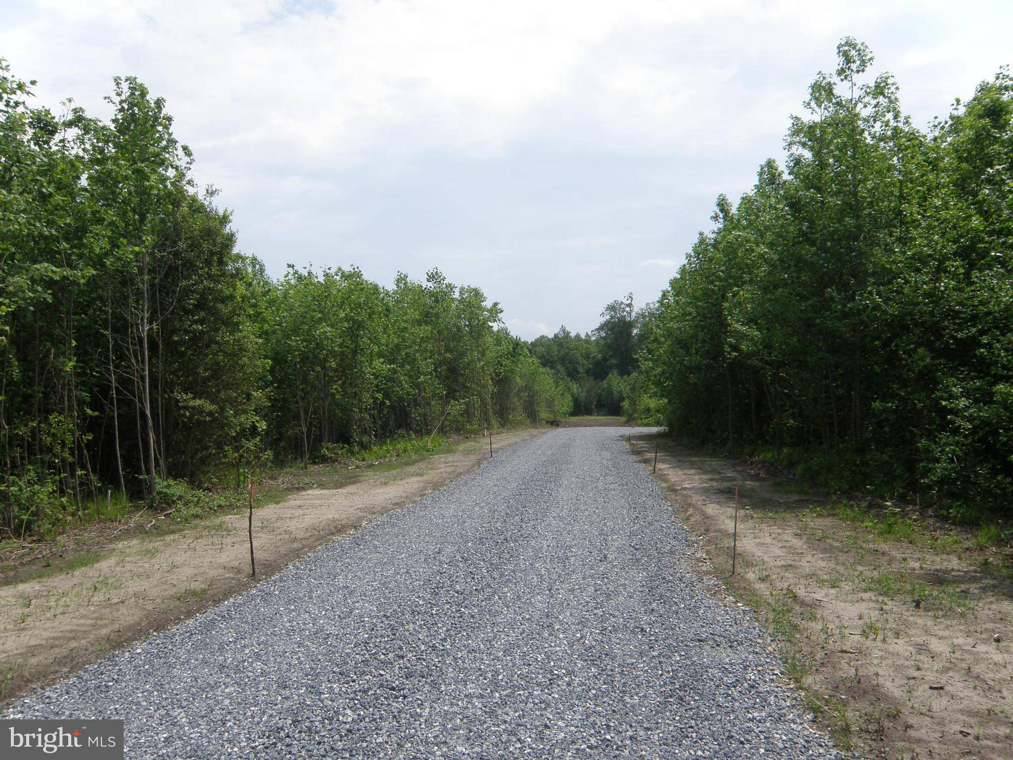 Georgetown, DE 19947,LOT B EASEMENT OFF OF SHORTLY RD