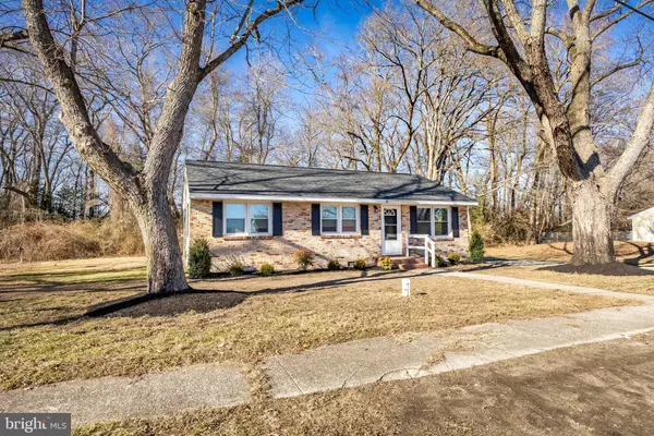 Salisbury, MD 21804,312 AUTUMN TER