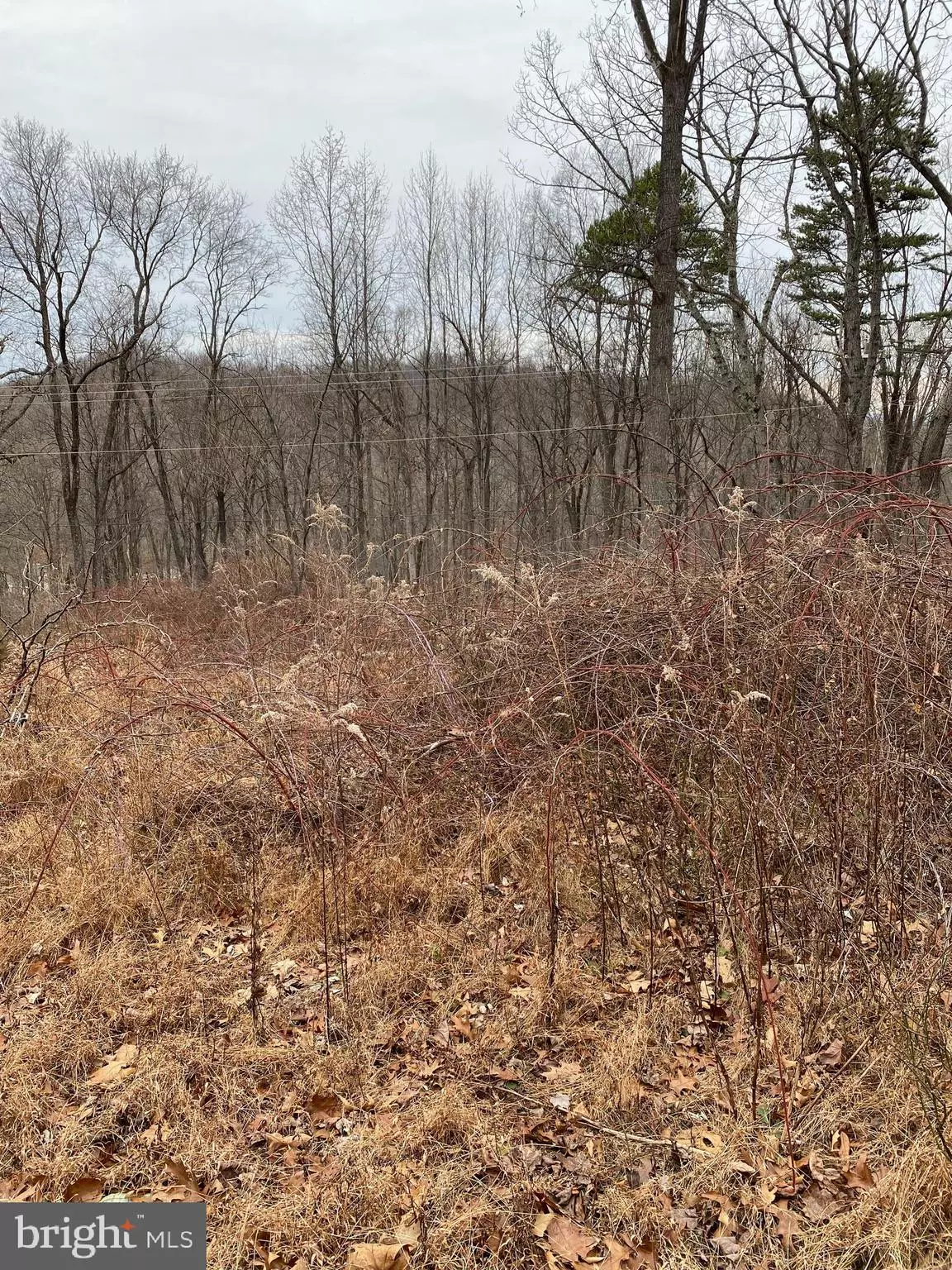 Front Royal, VA 22630,1090 WESTERN LN