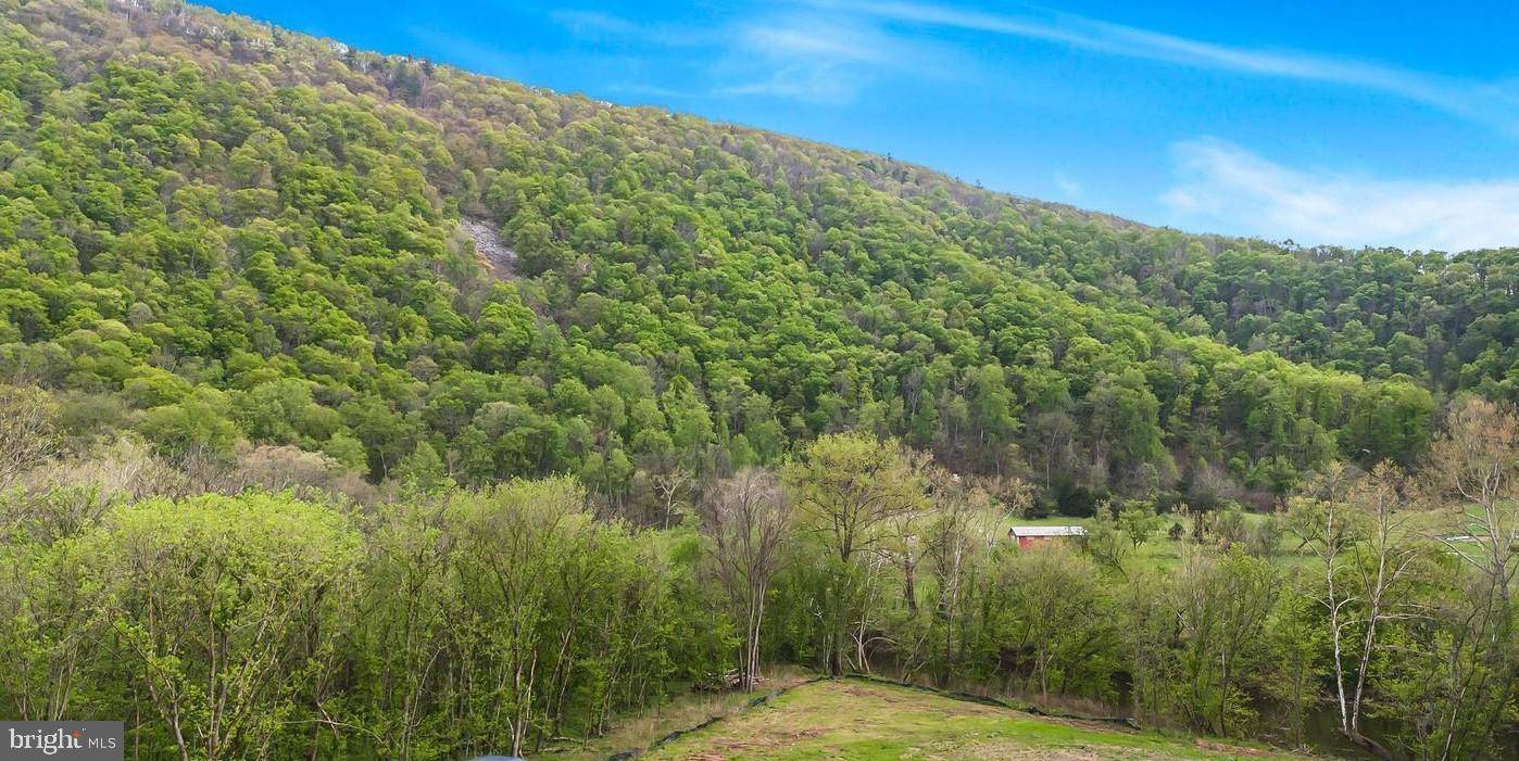 Maurertown, VA 22644,LOT 14 BLACK BEAR RD