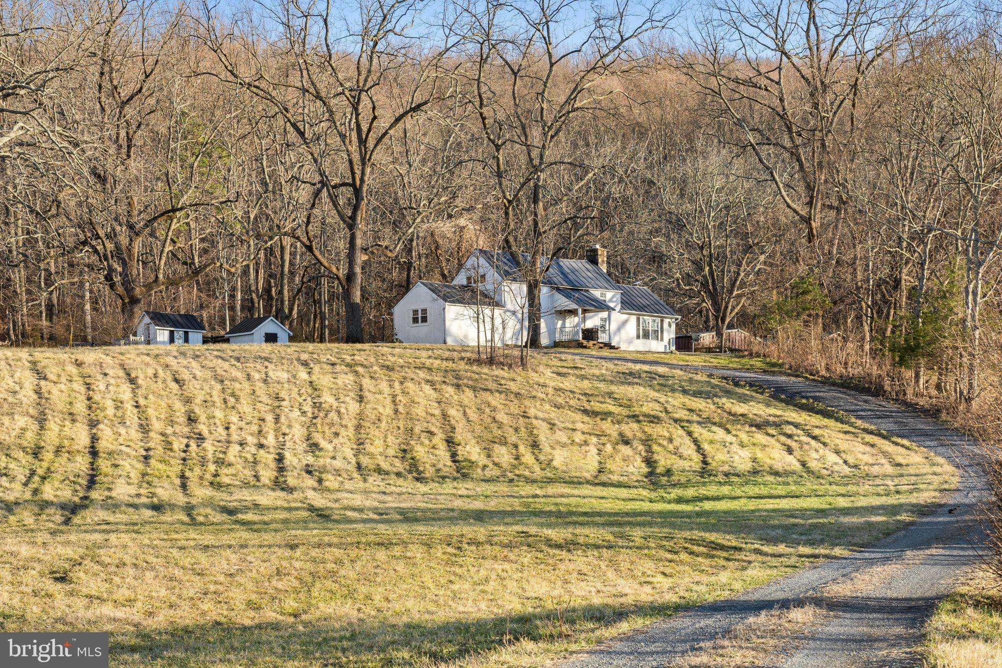 The Plains, VA 20198,3671 HALFWAY RD