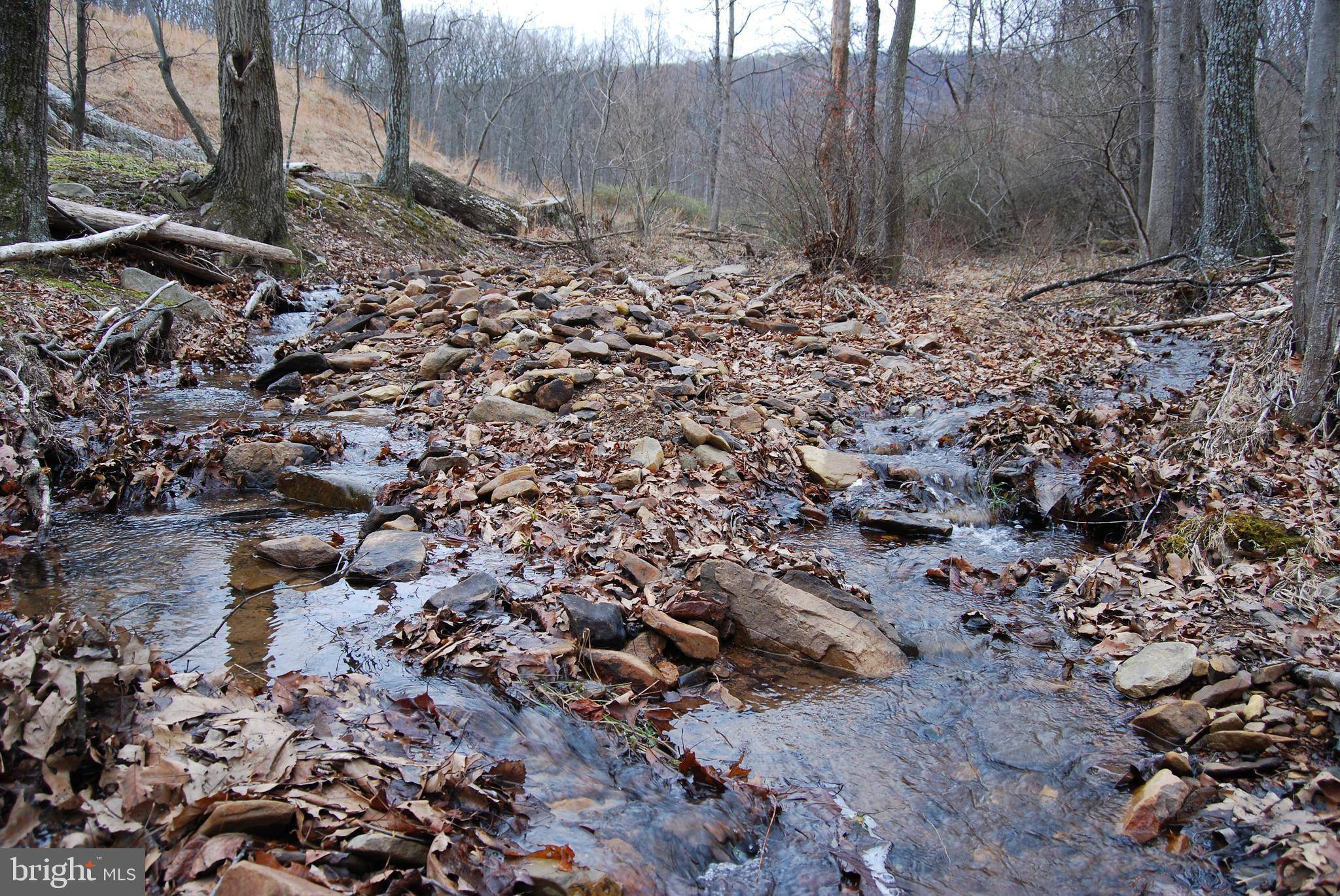 Hedgesville, WV 25427,LOT #3 TERRAIN DR