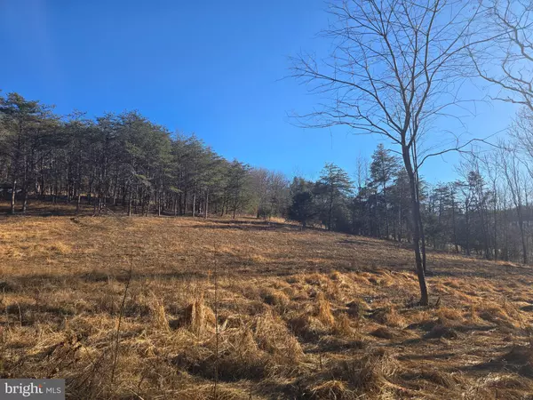 Berkeley Springs, WV 25411,SPIELMAN ROAD - LOT 1