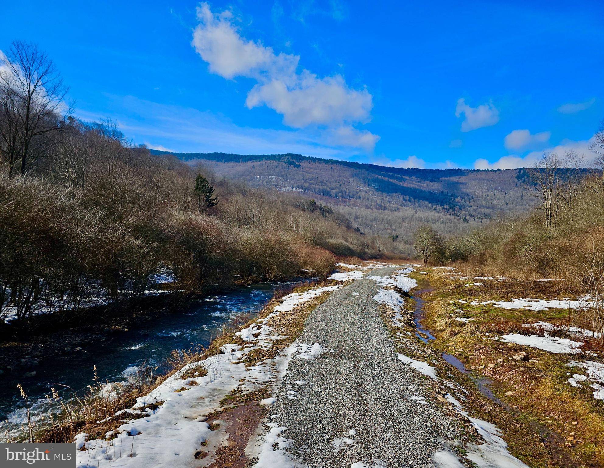 Marlinton, WV 24954,LAUREL CREEK TRL