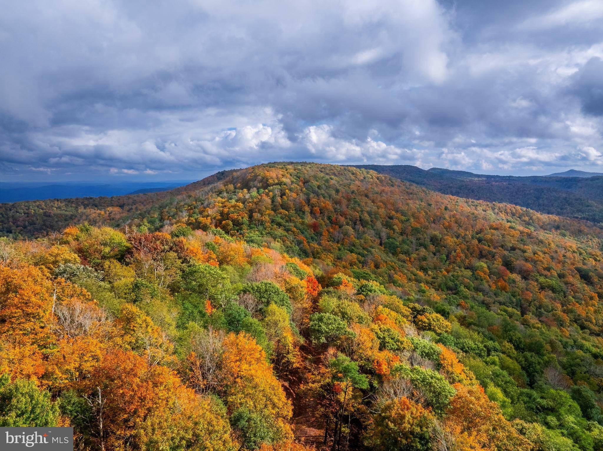 Marlinton, WV 24954,LAUREL CREEK TRL