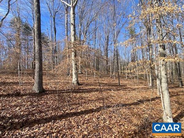 Gordonsville, VA 22942,0 MERION DR #LOT 299