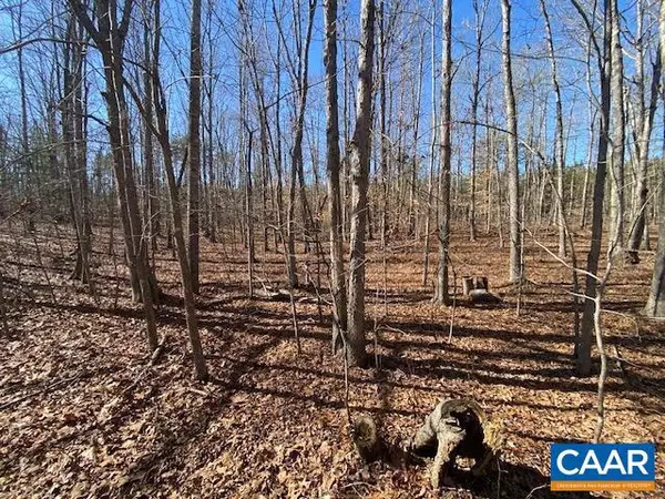 Gordonsville, VA 22942,0 PINEHURST DR #LOT 198