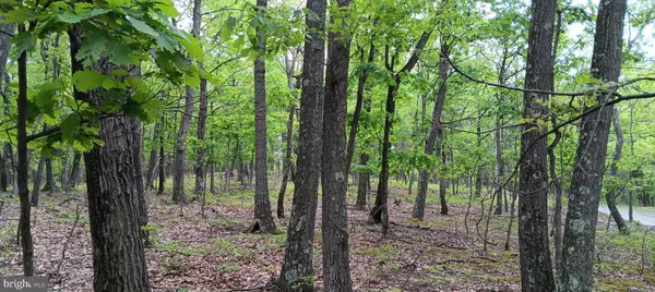 Manns Choice, PA 15550,0 FLEMMING HILL RD.