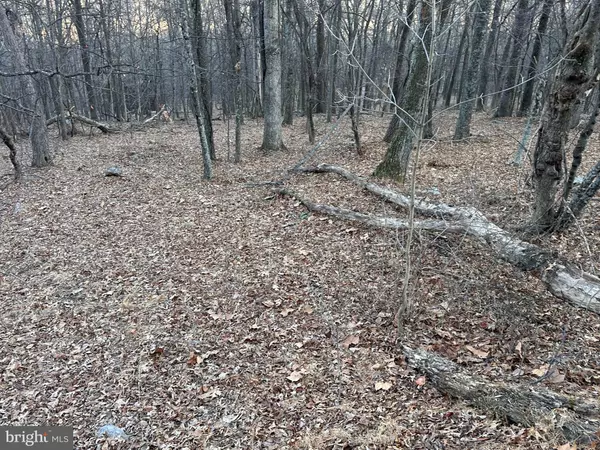 Berkeley Springs, WV 25411,LOT R6 BOBCAT DRIVE