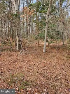 Abell, MD 20606,ABELL RD